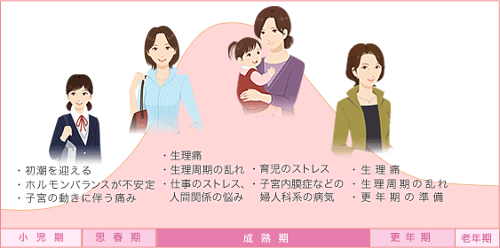 年齢における女性ホルモン分泌量の変化
