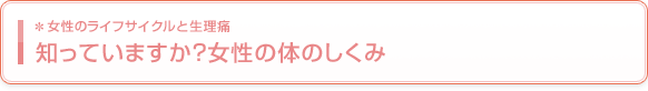 知っていますか?女性の体のしくみ